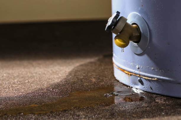 Best Mold removal after water damage  in Elm Creek, TX