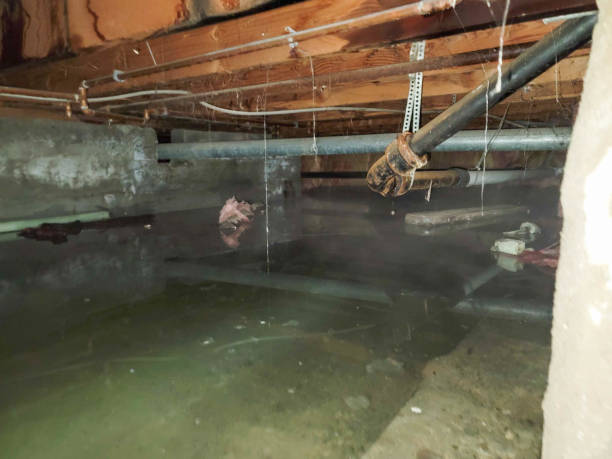 Best Water damage restoration near me  in Elm Creek, TX