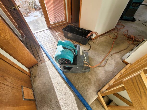 Best Water damage restoration near me  in Elm Creek, TX