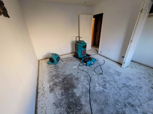 Best Professional water damage repair  in Elm Creek, TX