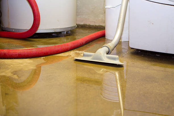 Best Flood damage cleanup  in Elm Creek, TX