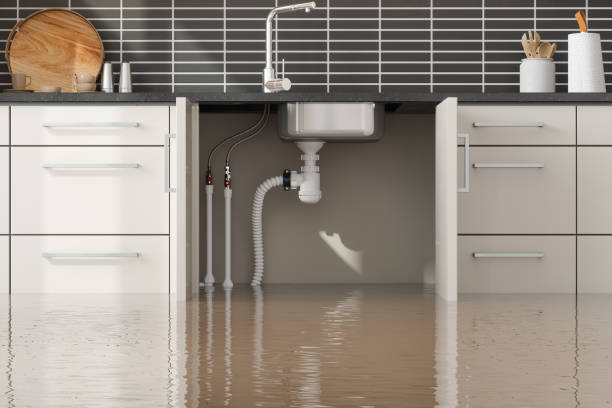 Best Flooded house restoration  in Elm Creek, TX