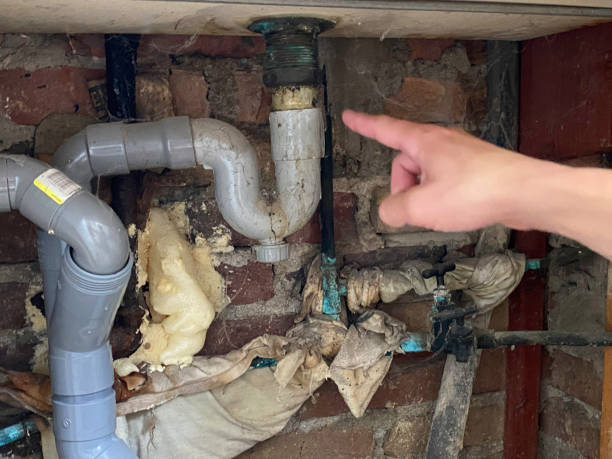 Best Water damage contractors near me  in Elm Creek, TX